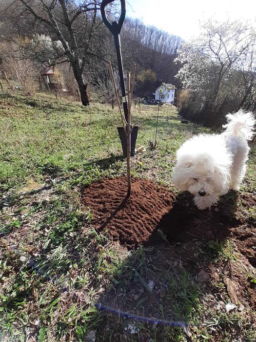 Продава се Къща в София, Център - 70 кв.м за 900 €/кв.м - Снимка #14