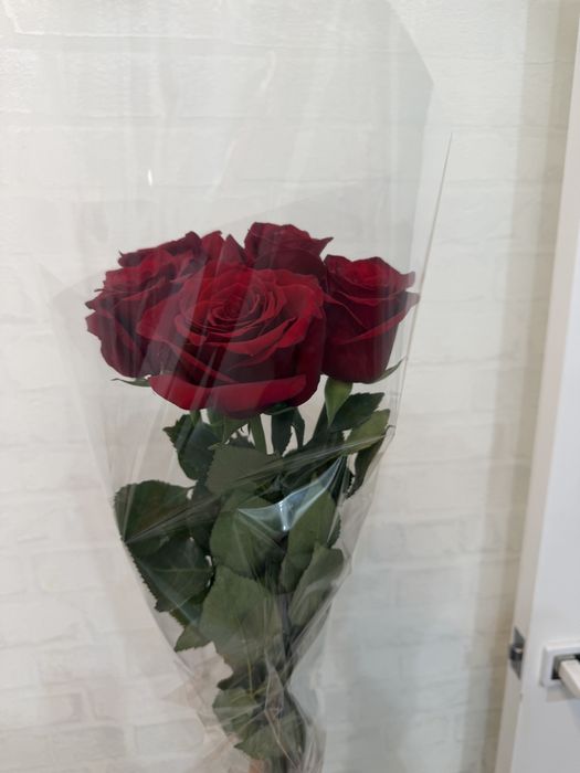 Продам красные розы
