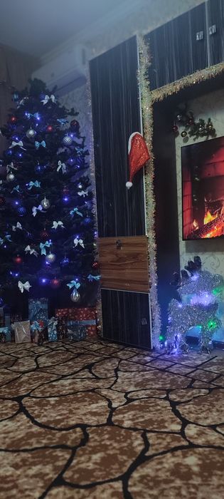 Продам хорошую Ёлку.