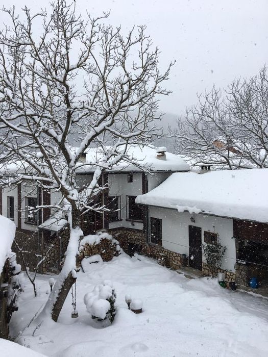 Продава се Къща в с. Ломец, Област Ловеч - 390 кв.м за 505 €/кв.м - Снимка #7