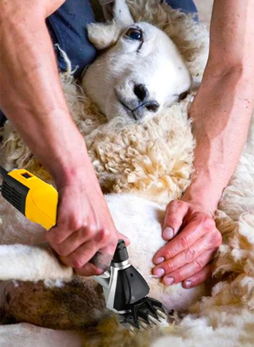 Куй юнгини олиш ва аппаратларни тамирлаш хизматлари