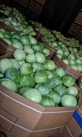 Vand cartofi si varza import Polonia de super calitate