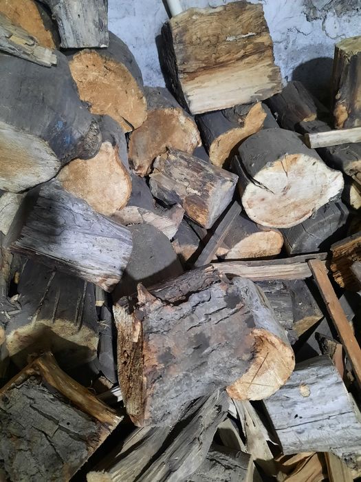 Продаются дрова тополь