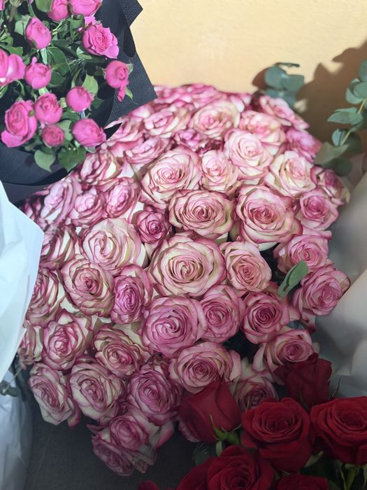 Свежий гулдер сатыладЫ