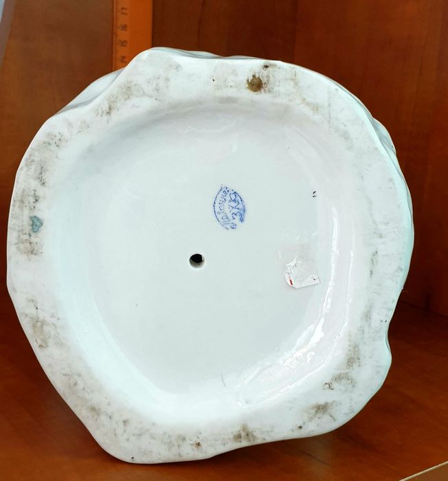 Юный геолог, мальчик