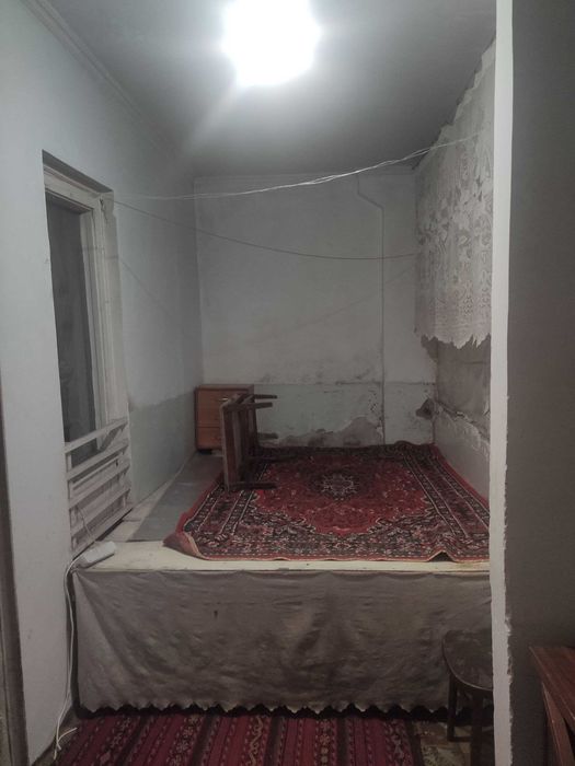 Аренад массив куйлюк 4