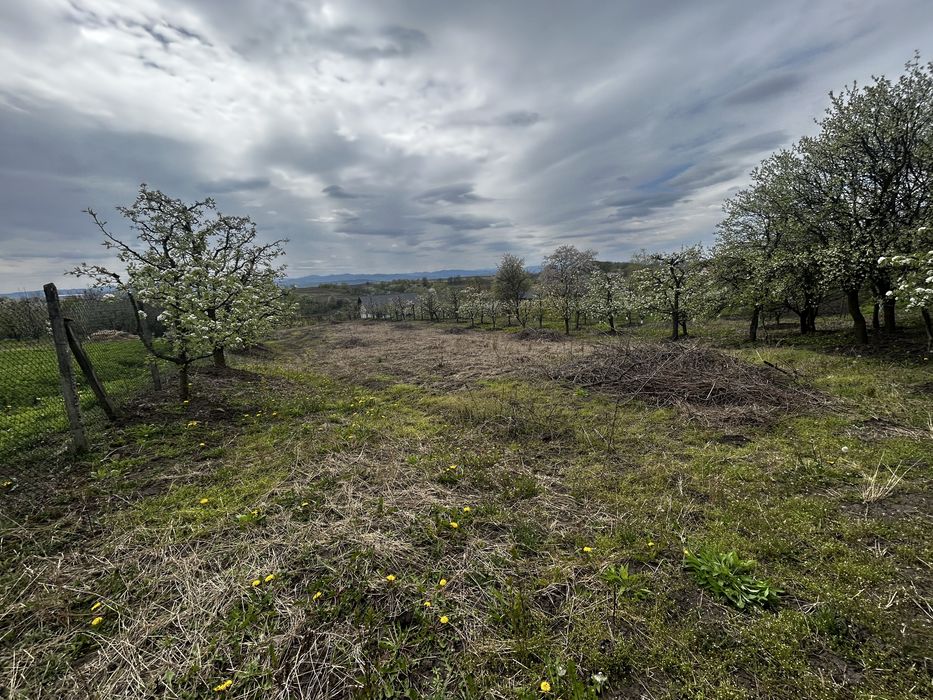 Teren intravilan 3600 mp – Str. Lovinescu, Rădășeni, toate utilitățile