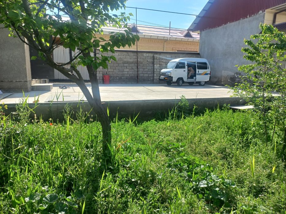 Motrit yue uchska 6 sotik