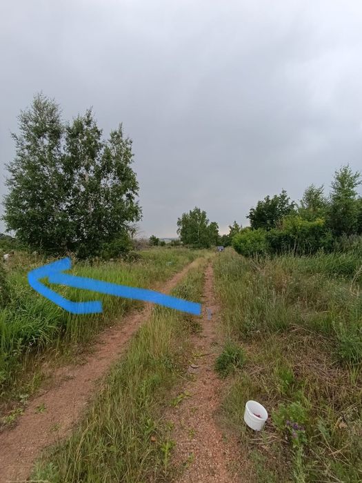 Участок земельный (дача)