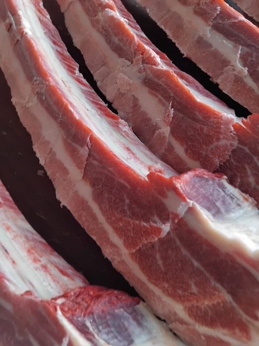 Продам мясо конина