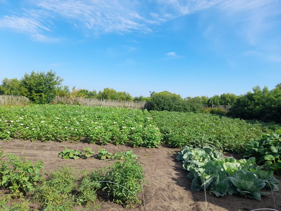 Продам дом село Вишневка
