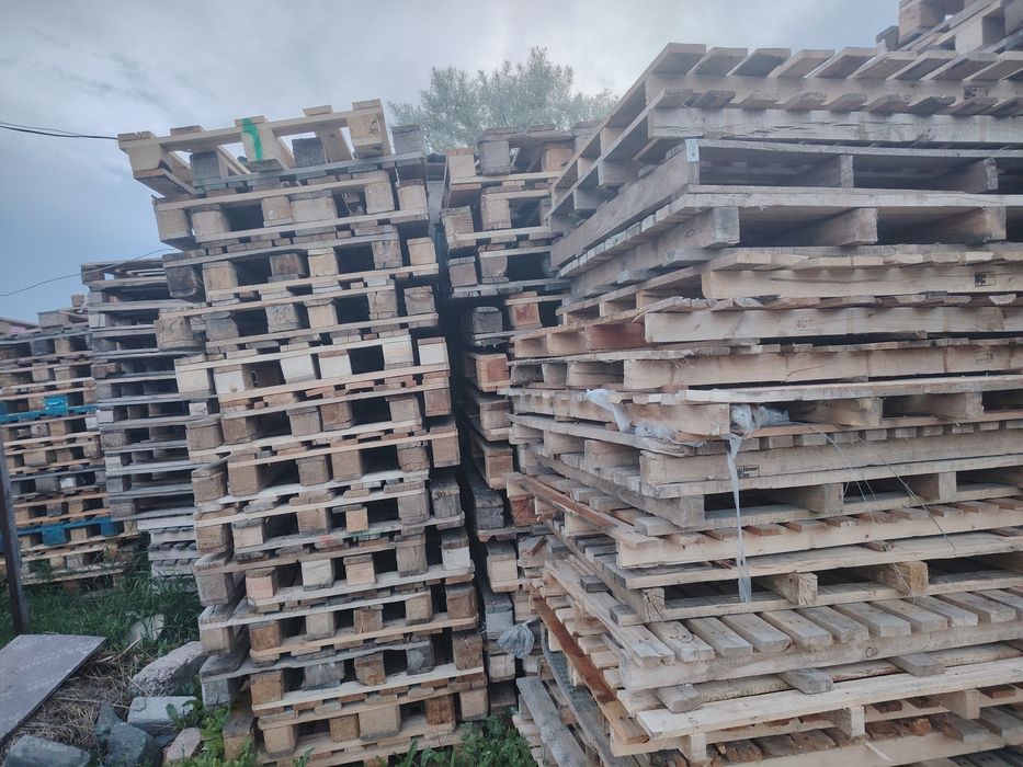 эвро подомсатылады