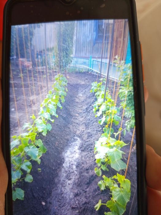 Продам дом в центре города