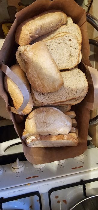 Paine uscată animale