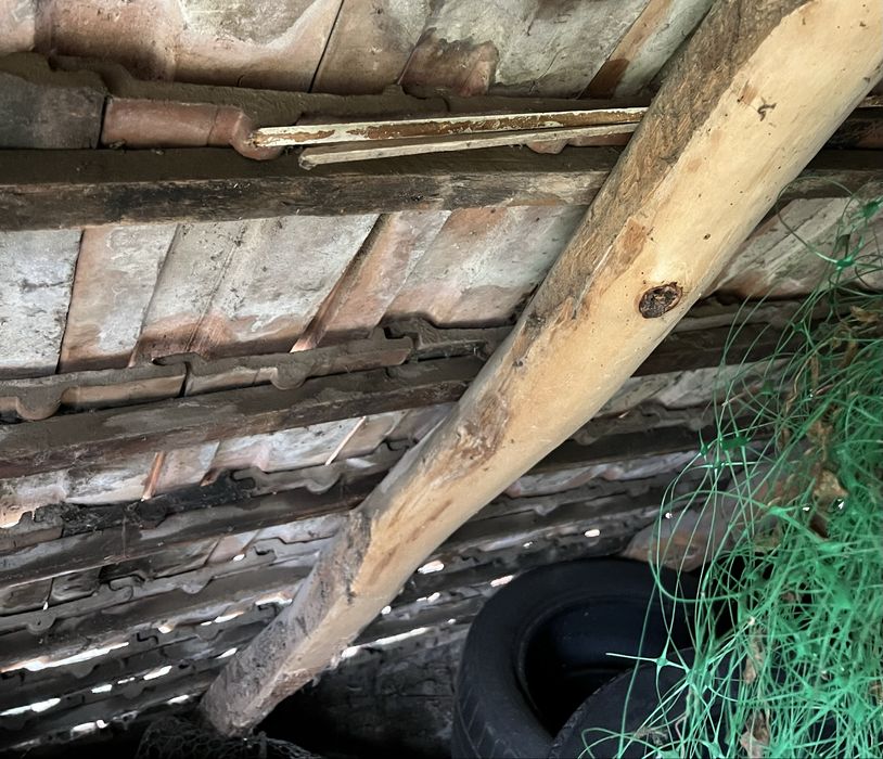 Tigla gratis, acoperis gratuit