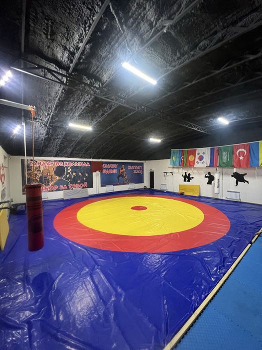 Борцовский ковёр (татами) для борьбы / ММА