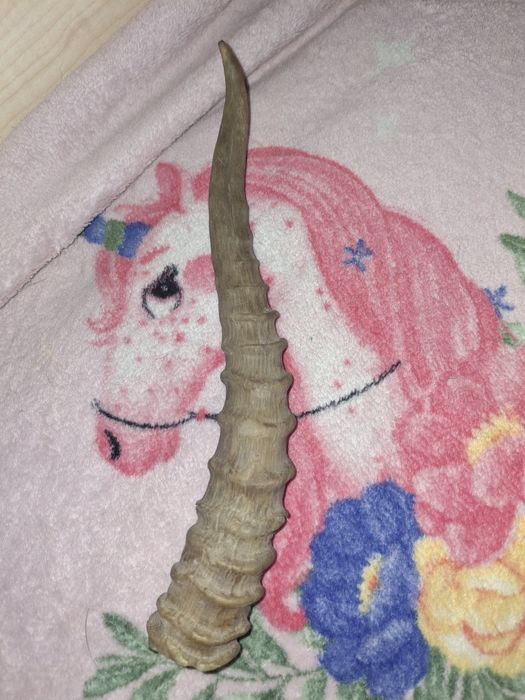 Продам совецкие игрушки удочка рог