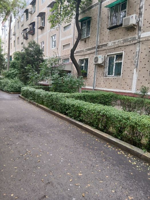 2 xonali kvartira