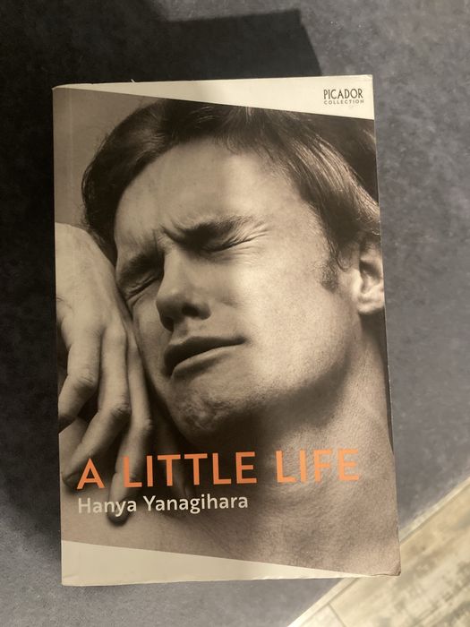 Книга A Little Life английски език