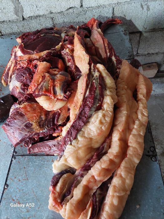 Ет . Согым Пригородное