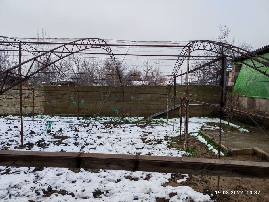 Теплица(жылыжай)