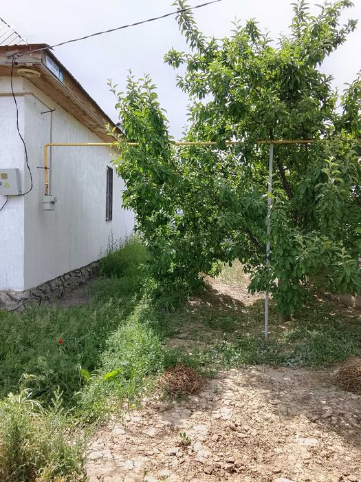 Дом в селе Самсы