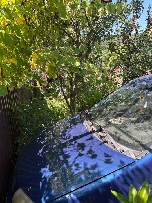Fiat Punto 1.2 Benzină 2003
