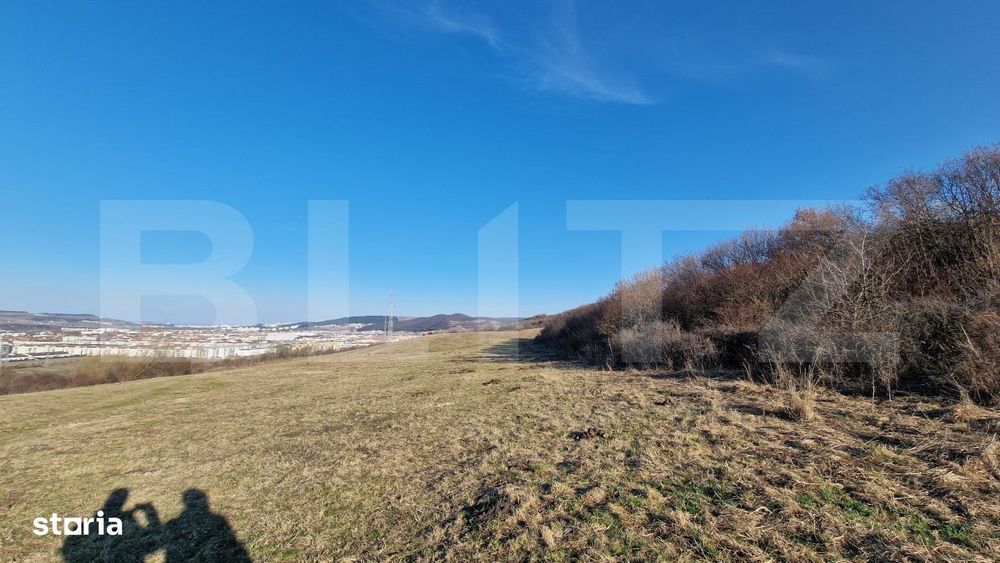Teren extravilan, 5600mp, ideal investitie de viitor, zona Vidului, Fl