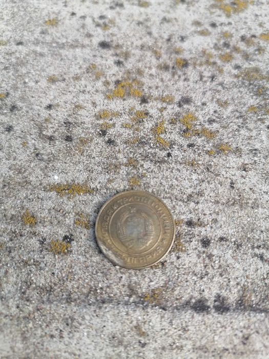 2 стотинки от 1981