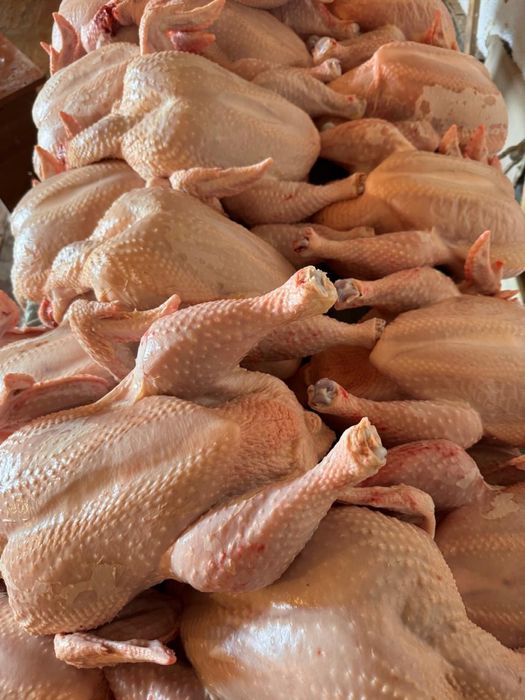 Продам тушки бройлеров домашние