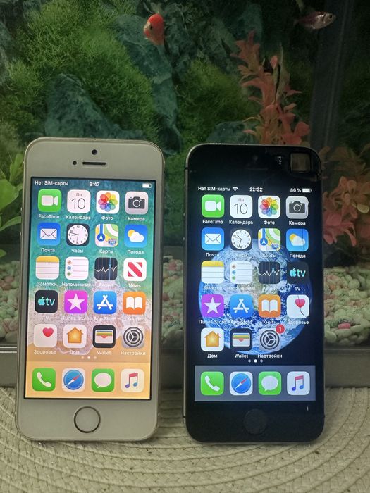 Продам два iPhone 5s 16 GB
