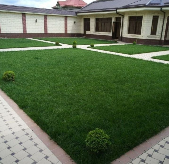 Газон рулонный ,посевной. Микроклимат ,сетка от солнца