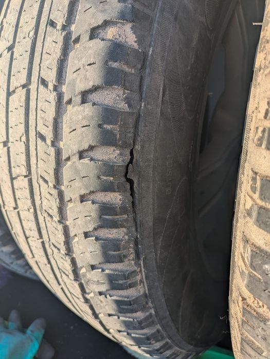 Шины летние резина балоны