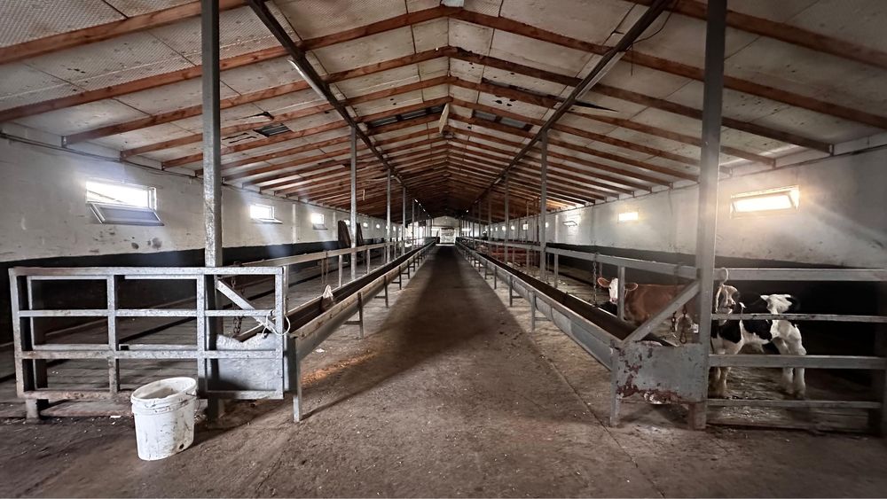 Фазенда для КРС и птицы