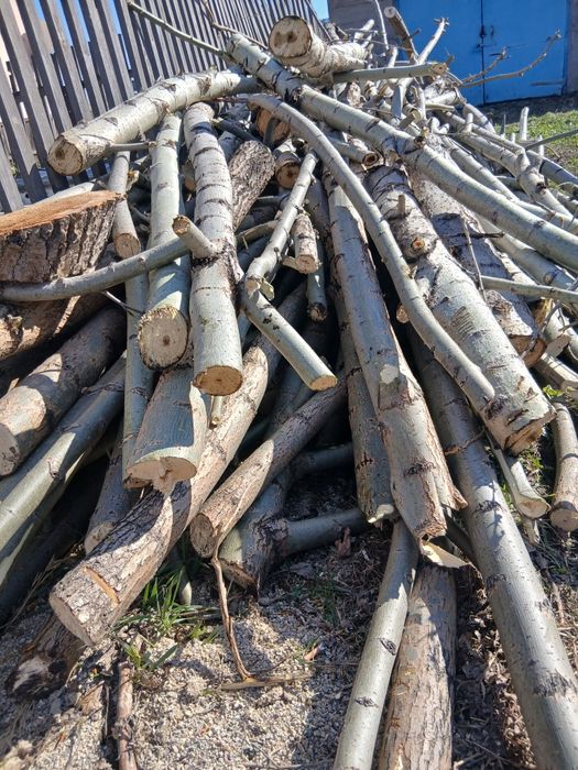 Продам дрова самовывоз