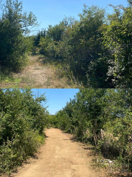 Подравняване и разчистване на терени – Дупница, Кюстендил, Благоевград