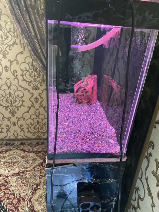 Akvarium 120litrli