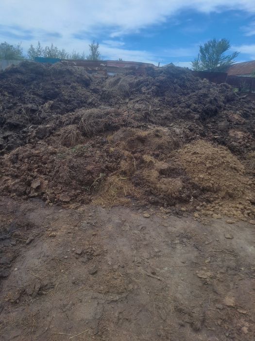 Отдам навоз бесплатно