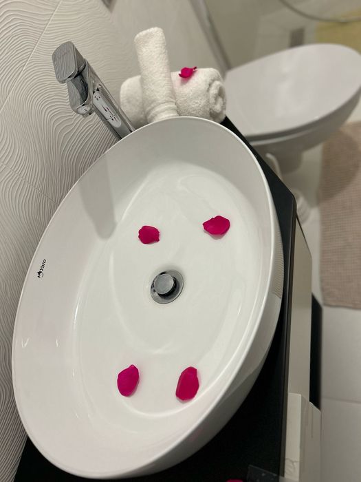 Apartament în regim hotelier Satu Mare