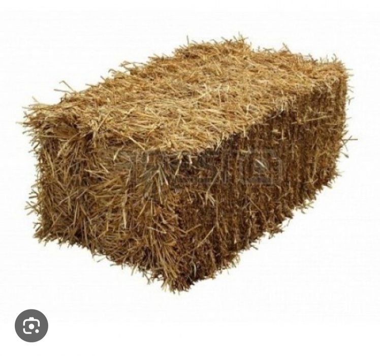 Тюк шөп   1500тг