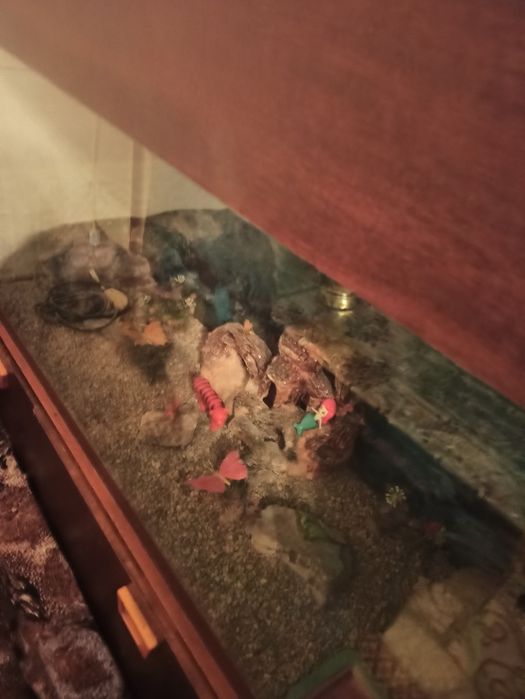 Продам Савой аквариум 200л