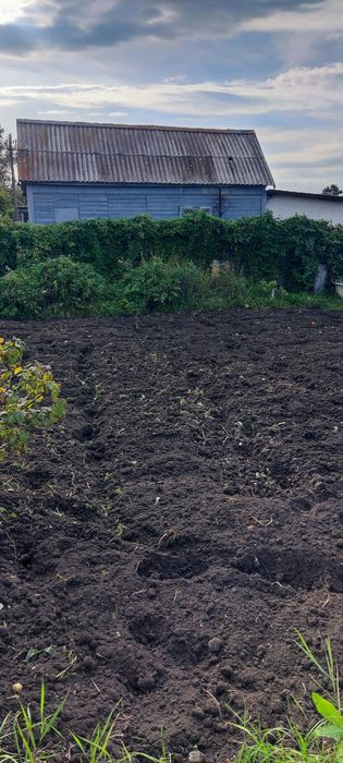 Продам дачу с баней в  СТ  Борки