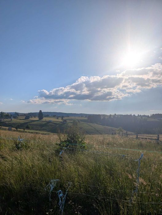 Vand Teren Intravilan in Maguri cu CF si CU