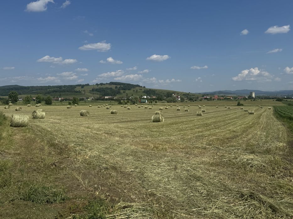Baloti Lucerna și Lucernă cu Ovăz