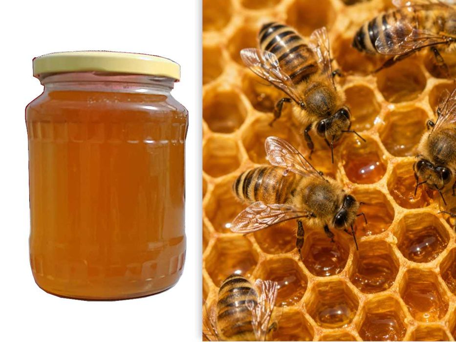 Vând MIERE DE ALBINE naturală POLIFLORA, producție proprie 2026