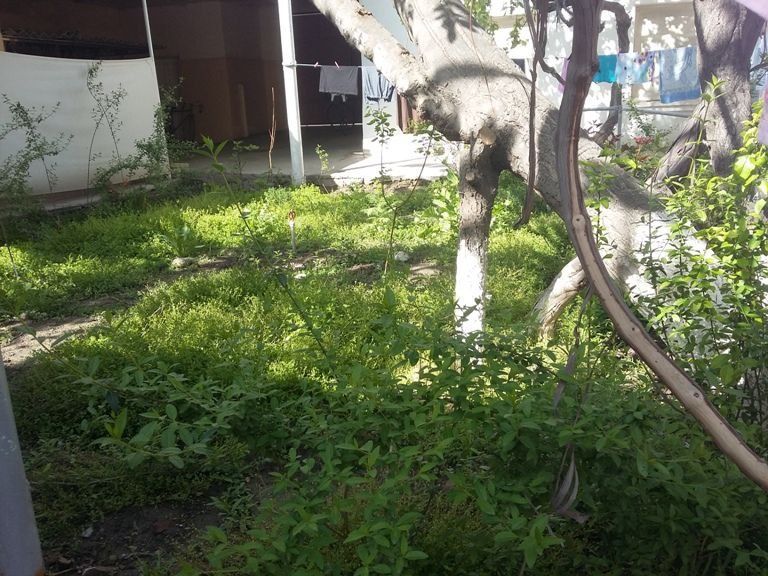 Участок  в центре города