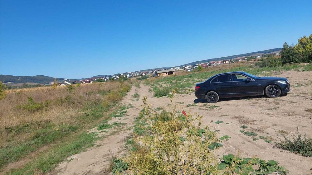 Teren Fermelor, Strada Plantelor