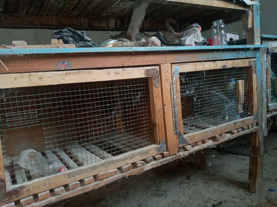 Клетки для кроликов Куёнлар учун кафас