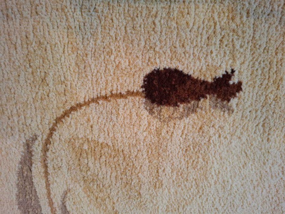 2 covoare identice, dimensiuni 150/80 cm