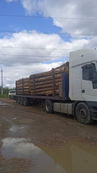Продам кругляк сосна. Кругляк сосна.